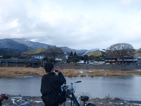頭に停まることも