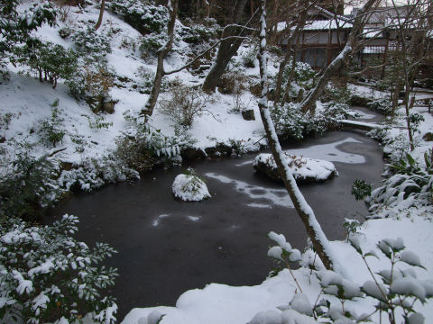 池．特に名前はない様子
