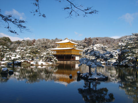 池も青く染まる