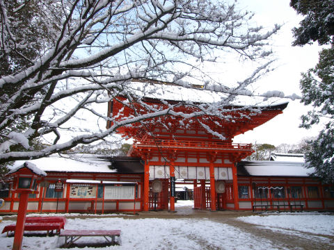 ちなみに巫女さんの赤い袴も雪に映えてた