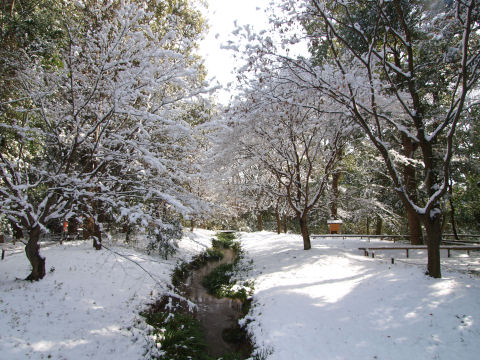 ほんと京都市街ではめずらしい