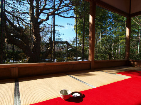 抹茶と茶菓子を置いてみる