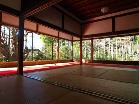 部屋はこんな感じ