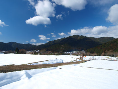 平らな場所には積もりやすいらしい