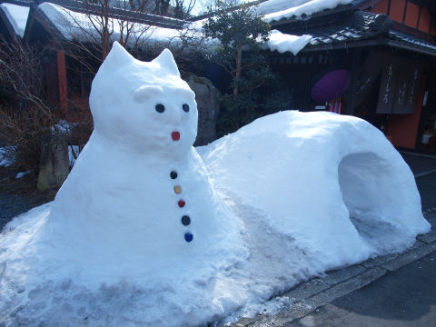 みんな写真撮る