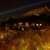 夜の清水寺で紅葉(色づき始め)撮影