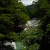 祖谷のかずら橋