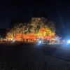 木瀬八柱神社のライトアップ